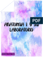 Anatomía I Primer Parcial PDF