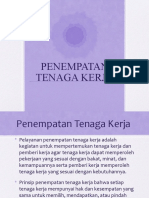 PENEMPATAN TENAGA KERJA DI DALAM NEGERI