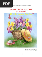 proiect