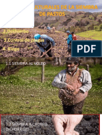PDF de Labores Culturales PDF