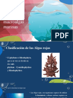 Uso de Las Macroalgas Marinas