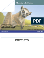 Lecture 7 Diversity of Protists PDF