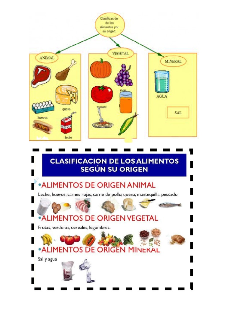 Alimentos de Origen Animal Vegetal y Mineral | PDF