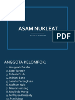 ASAM NUKLEAT - Kelompok 3 - 2A PDF