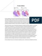 El Ciclo Cardiaco