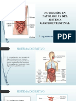 Nutricion Gastrointestinales para Alumnos de Clinica Nutricional 1 1