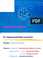 24_04_Leishmaniose.ppt