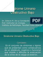 sindrome_urinario_obstructivo_bajo.ppt