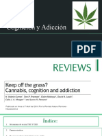 Cannabis-cognición-y-adiccion