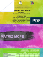 MATRIZ MCPE-MGE
