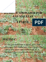 daosocasionadospormalezas-111203165607-phpapp02.pdf