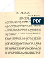 CUAJO.pdf