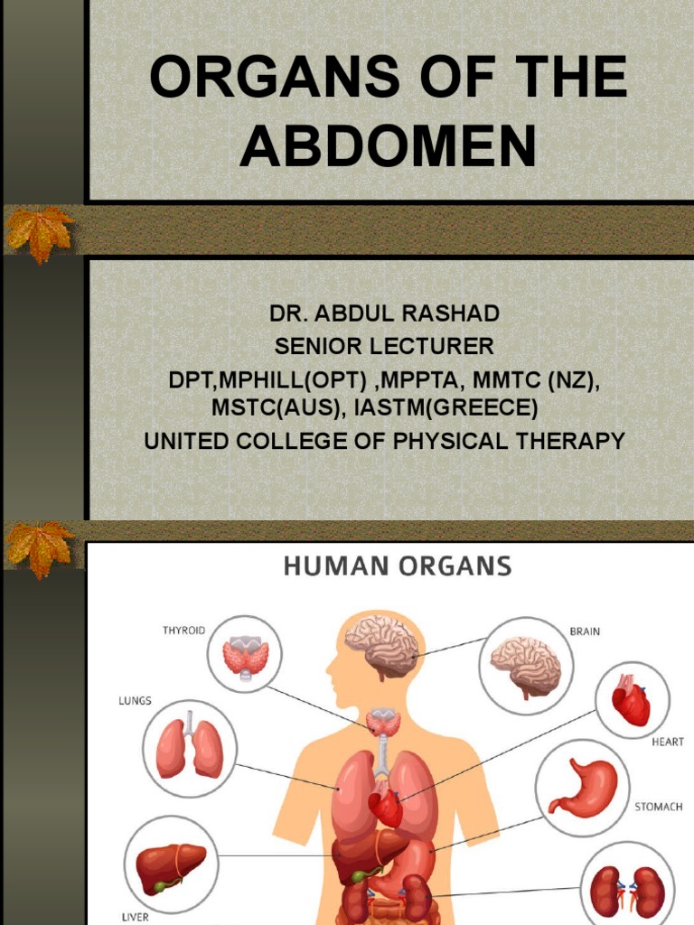 Abdomen intelligence overview