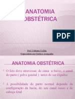 Anatomia Obstétrica-05