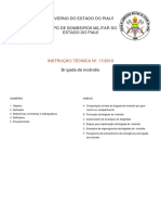 Instrução Técnica Formação de Brigada No Piaui