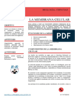 Guía Membrana Celular 10°