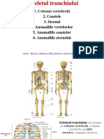 Col. Vert PDF