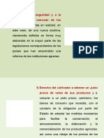 E) Derecho A La Seguridad y A La Estabilidad Del Mercado de Los Productos