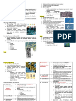 Clnical Bacteriology Chapter 1