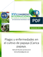 Plagas y Enfermedades Del Papayo