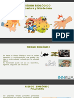Capacitacion Riesgo Biologico Mordedura y Picadura.pdf