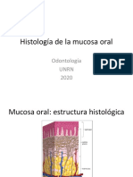 Histología de La Mucosa Oral
