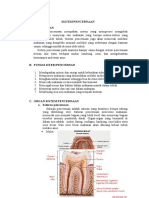 Sistem Pencernaan Manusia