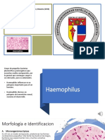 Expo de Micro PDF