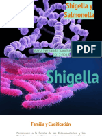 Shigella y Salmonella PDF