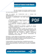 ValorizacaoCapital PDF