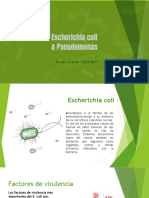 Escherichia Coli PDF
