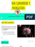 Neisserias Gonorreae y Meningitidis PDF