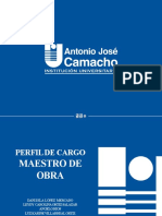 PERFIL DE CARGO (2).pptx