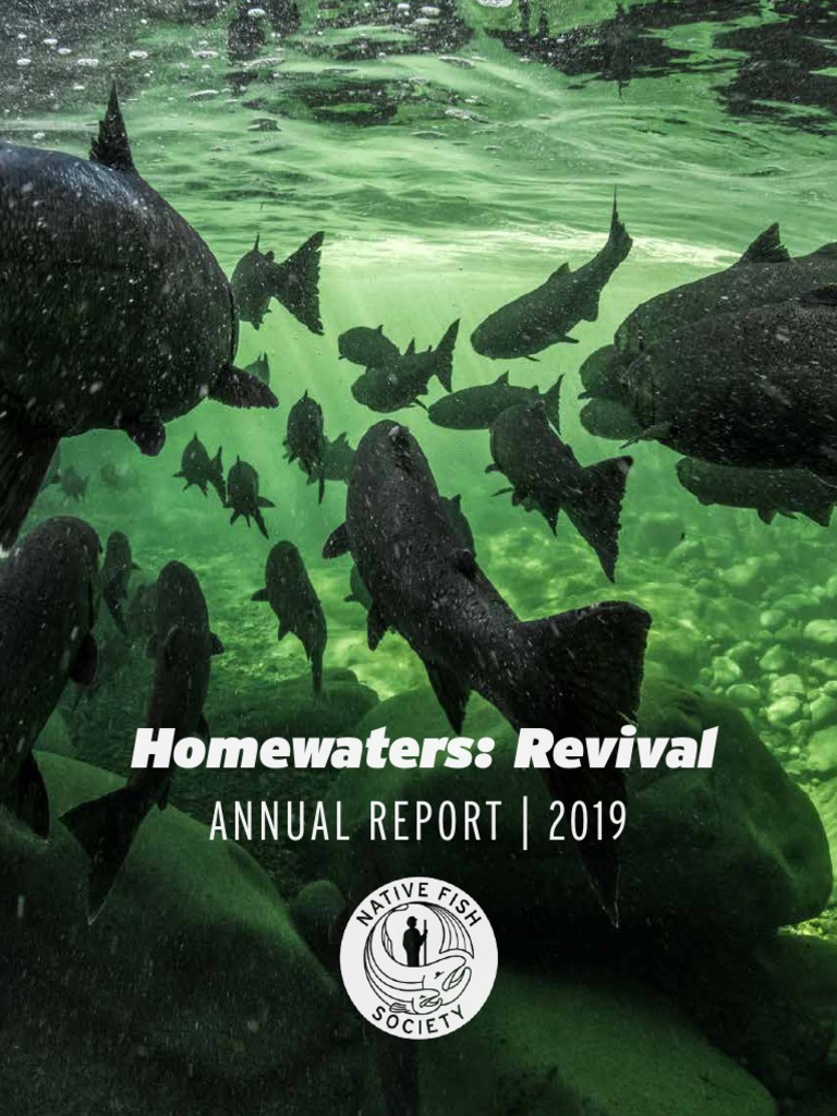 Native Fish Society Annual Report 2019, PDF, Salmon
