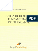 Tutela de Derechos Fundamentales Del Trabajador - José Luis Ugarte Cataldo