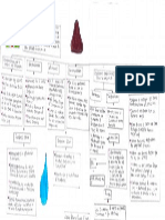Mapa Conceptual - Lombricultura PDF