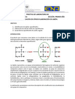 Elaboración de Jabón Casero