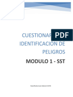 Cuestionario Identificación de Peligros