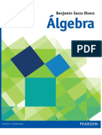 Álgebra (Garza).pdf