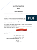 07 Taller Bernoulli PDF