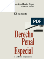 Derecho Penal Especial en leyes federales mexicanas (1997