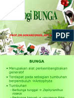 Bunga