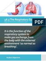 Chapter 46: The Circulatory and Respiratory System