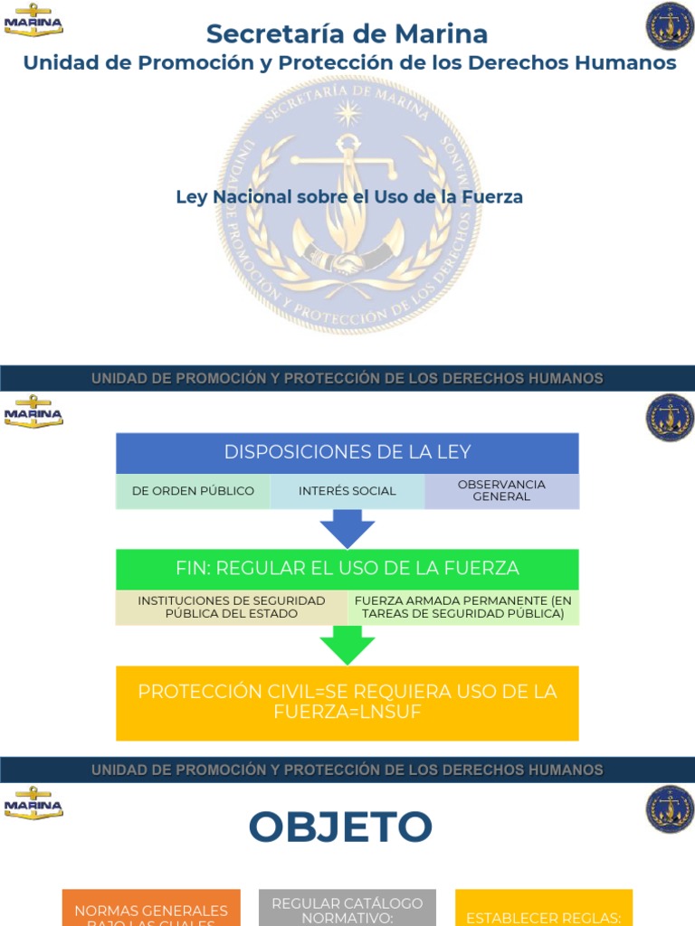 Ley Nacional sobre el Uso de la Fuerza | PDF | Policía | Derechos humanos