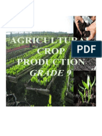Agricultural Crop Production Grade 9