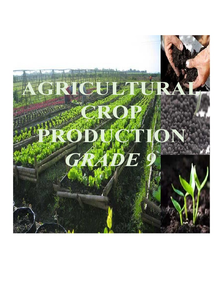 Agricultural Crop Production Grade 9 PDF Plough Agriculture