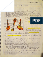 página 1 _Esófago y Estómago_.pdf