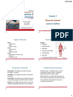 Chapter 7 - Muscular System.pdf