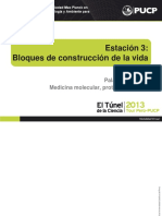 estacion3BLOQUES DE COSNTRUCCION DE LA VIDA.pdf