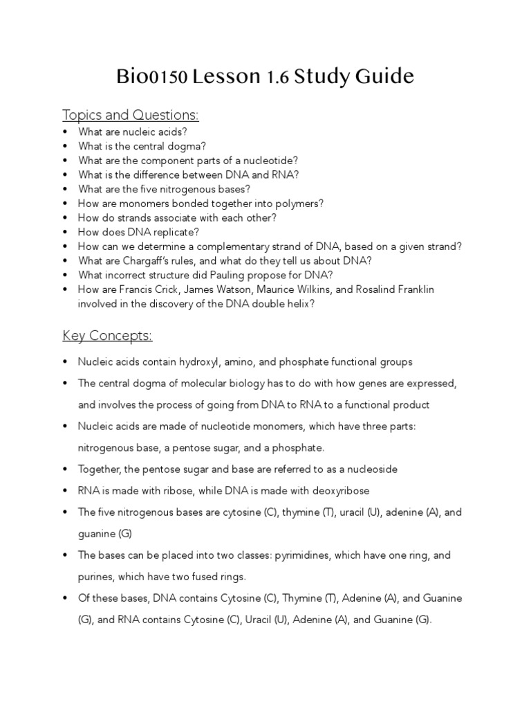 1 6-+DNA+Powerpoint+and+Study+Guide PDF | PDF | Nucleic Acids | Dna